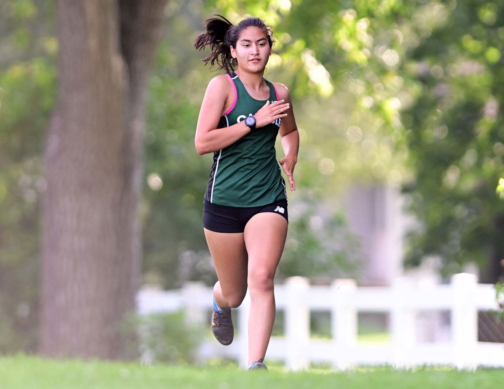 Carlisle Cross Country 8